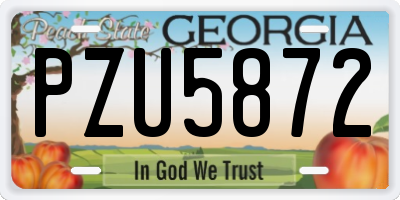 GA license plate PZU5872