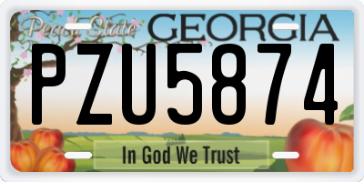 GA license plate PZU5874