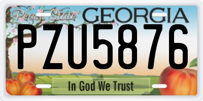 GA license plate PZU5876