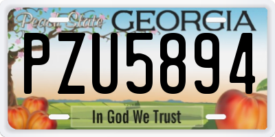 GA license plate PZU5894