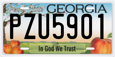 GA license plate PZU5901