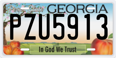 GA license plate PZU5913