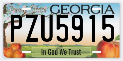 GA license plate PZU5915