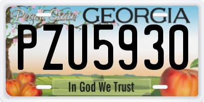 GA license plate PZU5930