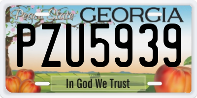 GA license plate PZU5939