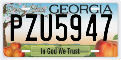 GA license plate PZU5947