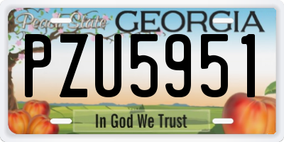 GA license plate PZU5951