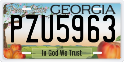 GA license plate PZU5963