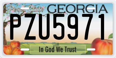GA license plate PZU5971