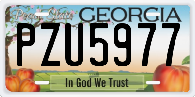 GA license plate PZU5977