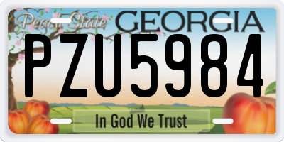 GA license plate PZU5984