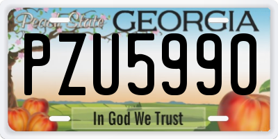GA license plate PZU5990