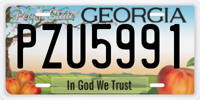 GA license plate PZU5991