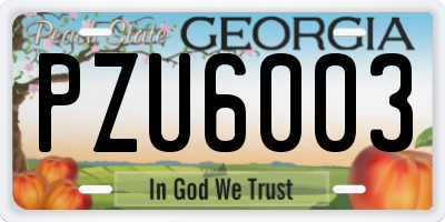 GA license plate PZU6003