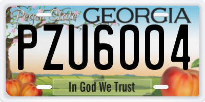 GA license plate PZU6004
