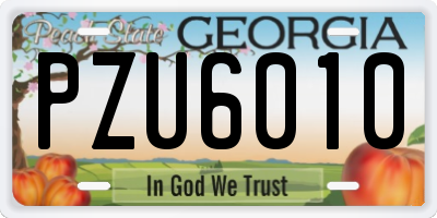 GA license plate PZU6010