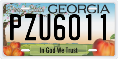 GA license plate PZU6011