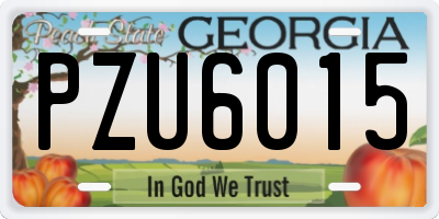 GA license plate PZU6015