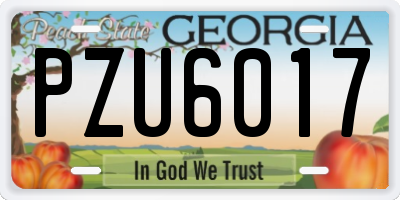 GA license plate PZU6017