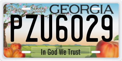 GA license plate PZU6029