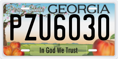 GA license plate PZU6030