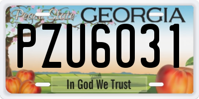 GA license plate PZU6031