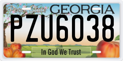 GA license plate PZU6038