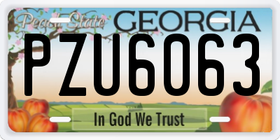 GA license plate PZU6063