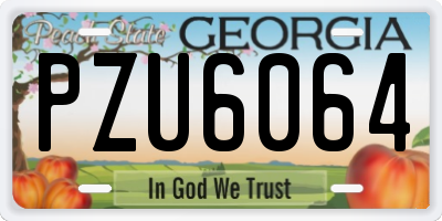 GA license plate PZU6064