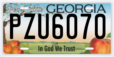 GA license plate PZU6070