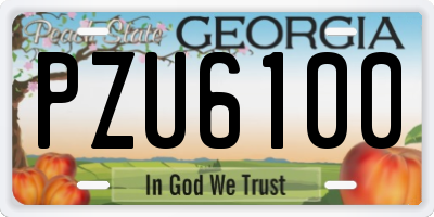 GA license plate PZU6100