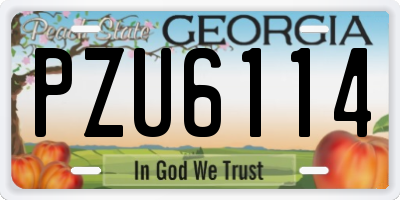 GA license plate PZU6114