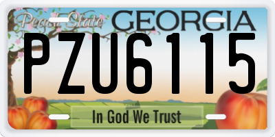 GA license plate PZU6115