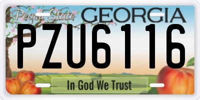 GA license plate PZU6116