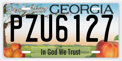 GA license plate PZU6127