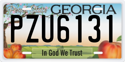GA license plate PZU6131
