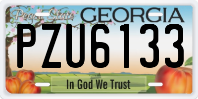 GA license plate PZU6133
