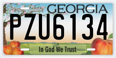 GA license plate PZU6134