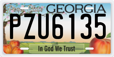 GA license plate PZU6135