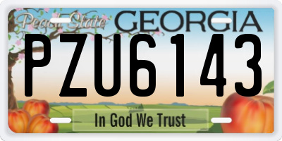 GA license plate PZU6143