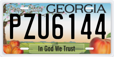 GA license plate PZU6144