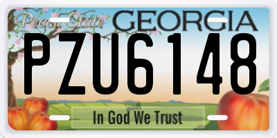 GA license plate PZU6148