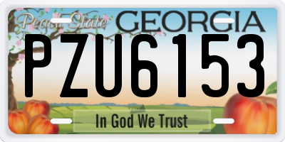 GA license plate PZU6153