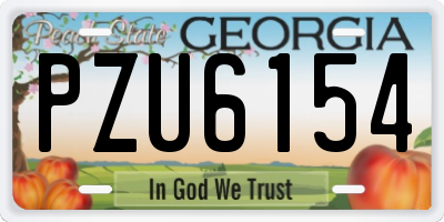 GA license plate PZU6154