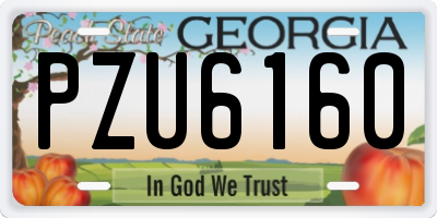 GA license plate PZU6160