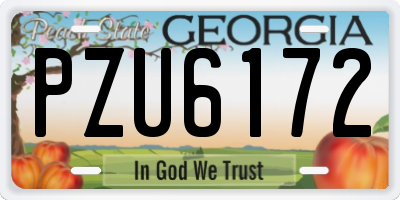 GA license plate PZU6172