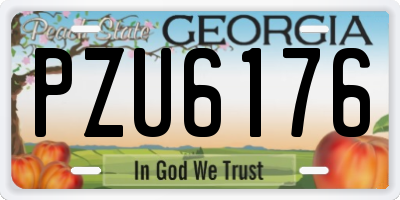 GA license plate PZU6176