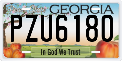 GA license plate PZU6180