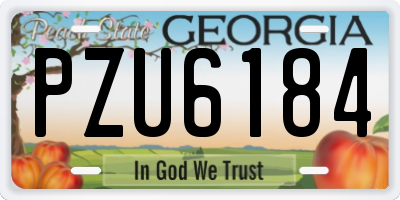 GA license plate PZU6184