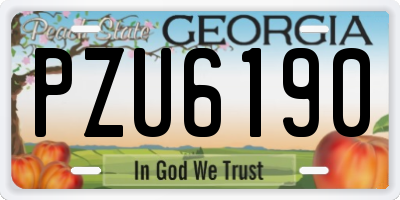 GA license plate PZU6190